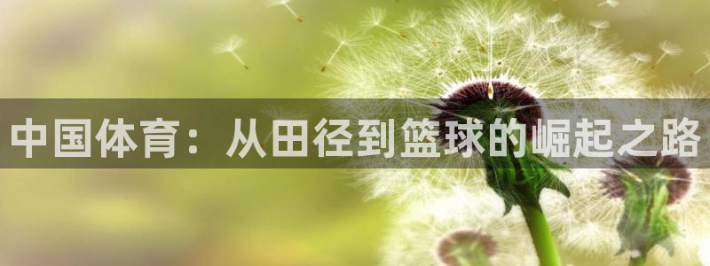 哈哈体育下载