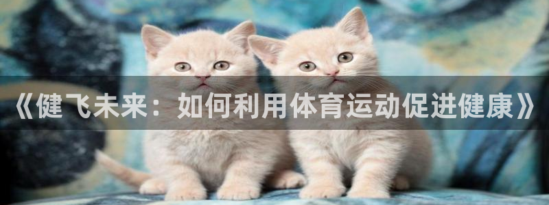 哈哈体育十年