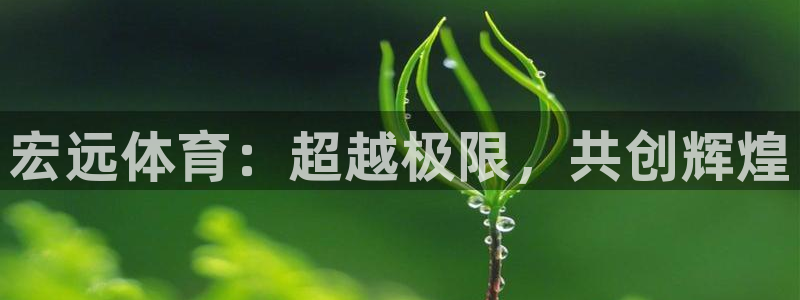 哈哈体育下载