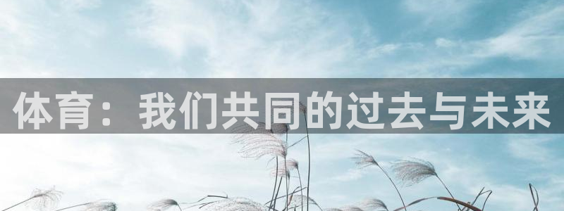 哈哈体育下载