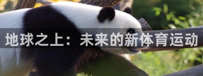 哈哈体育