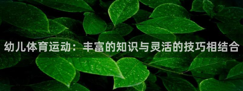 哈哈体育下载