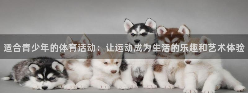哈哈体育十年