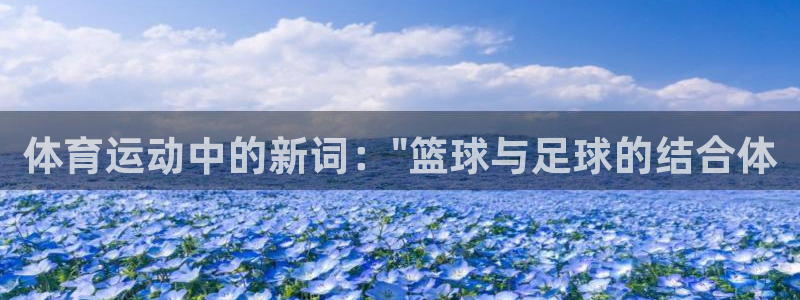 哈哈体育