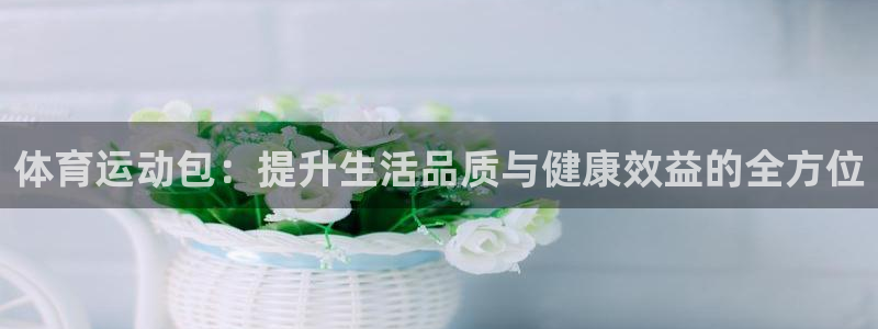 哈哈体育十年