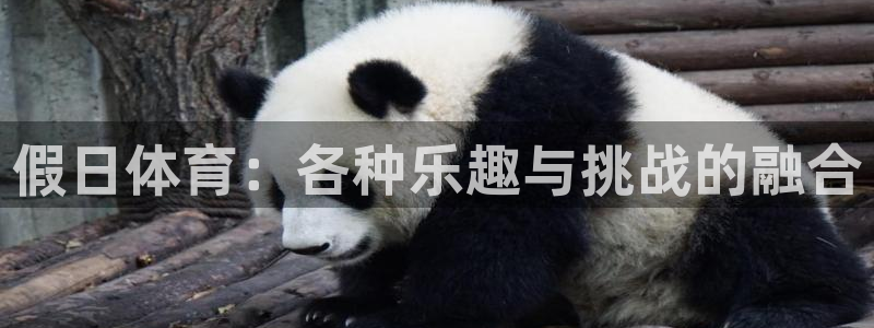 哈哈体育下载