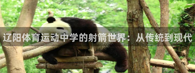 哈哈体育下载