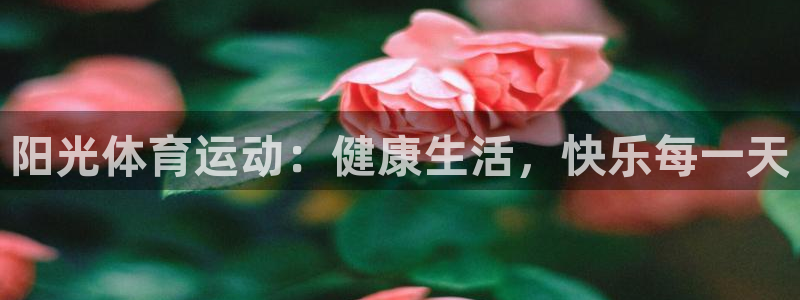 哈哈体育