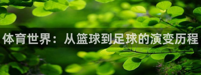 哈哈体育十年